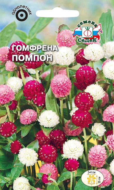 Семена цветов - Гомфрена Помпон 0,1 г - 2 пакета