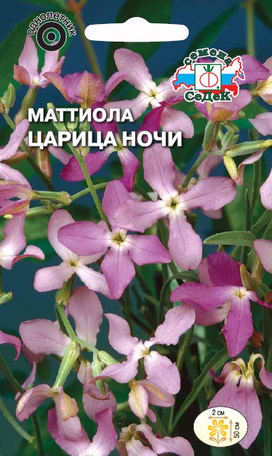 Семена цветов - Маттиола Царица Ночи  0,3 гр.