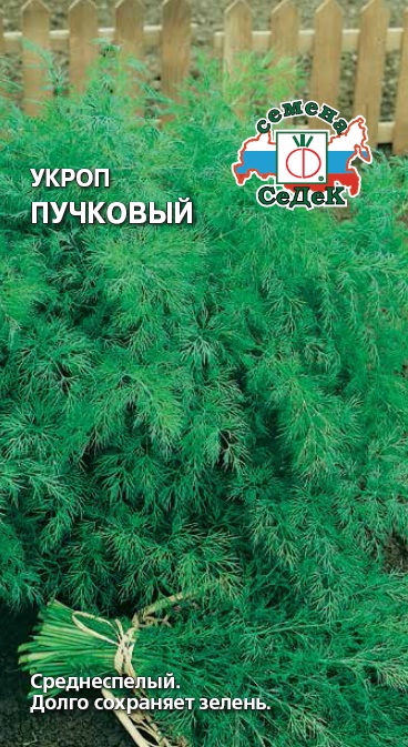 Семена - Укроп Пучковый 2 гр.