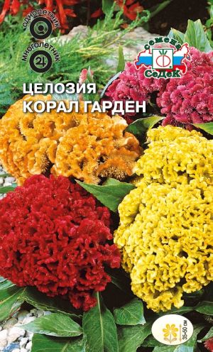 Семена цветов - Целозия Корал Гарден  0,2 гр.
