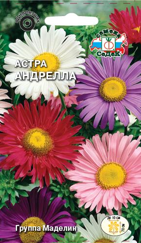 Семена цветов - Астра Андрелла  0,2 гр.