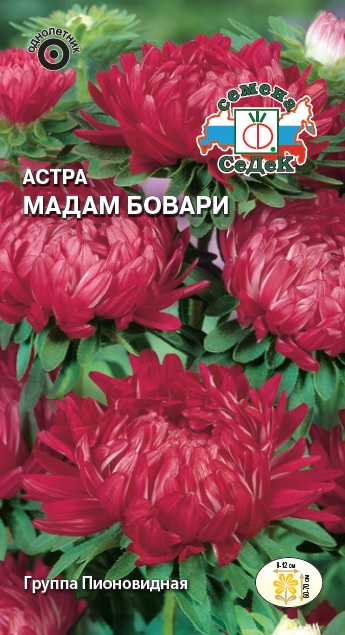 Семена цветов - Астра Мадам Бовари  0,1 гр.