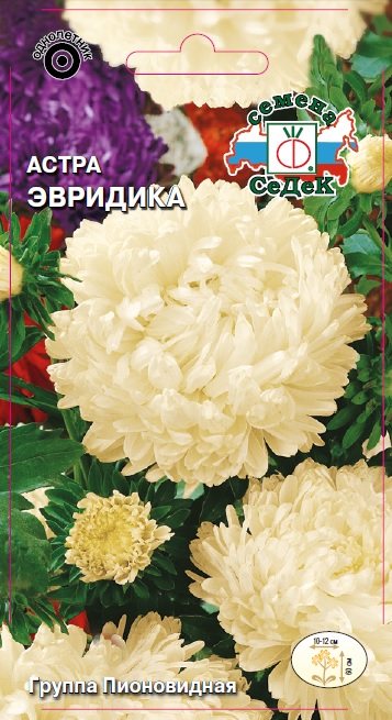 Семена цветов - Астра Эвридика  0,2 гр.