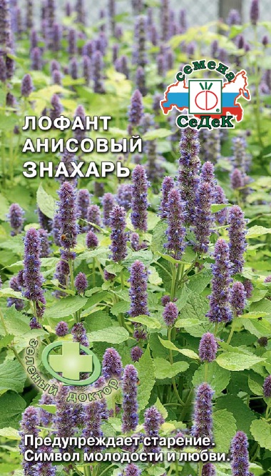 Семена - Пряность Лофант Анисовый Знахарь 0,1 гр.
