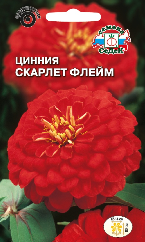 Семена цветов - Цинния Скарлет  Флейм   0,5 гр.