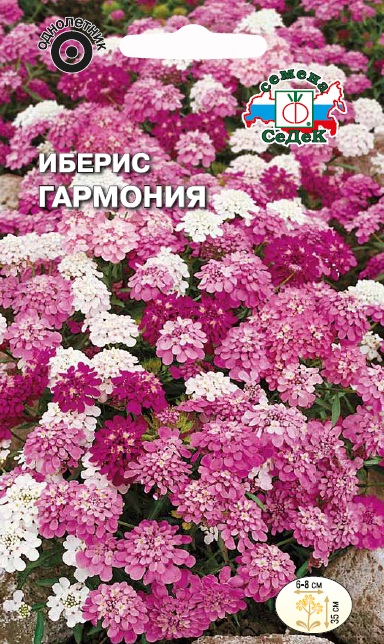 Семена цветов - Иберис Гармония  0,1 гр.