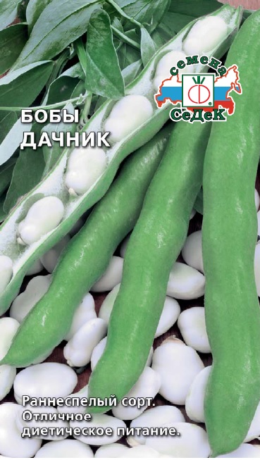 Семена - Бобы Дачник 10 гр.
