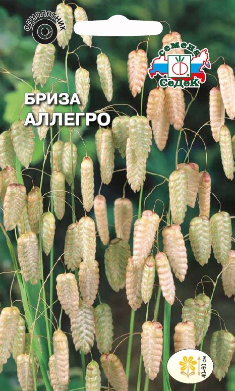 Семена цветов - Бриза Аллегро 0,5 г - 2 пакета