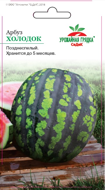 Семена - Арбуз Холодок 1 гр.