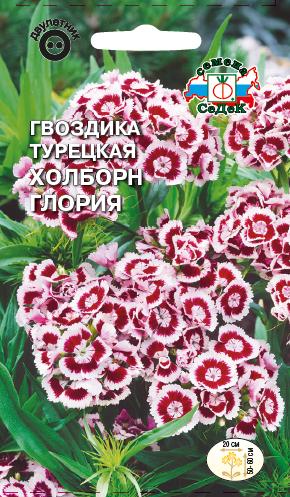 Семена цветов - Гвоздика Холборн Глория  0,5 гр.