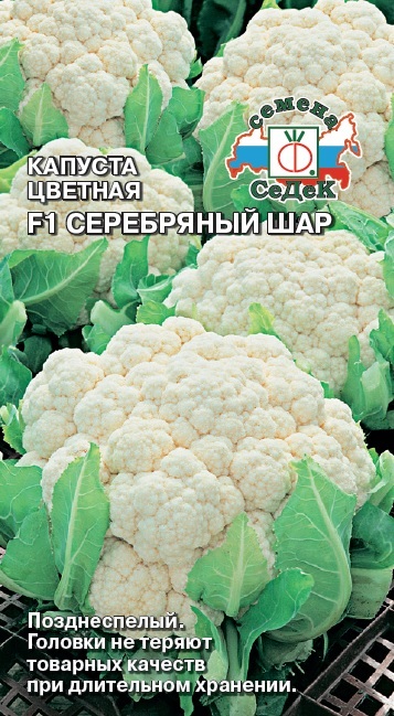 Семена - Капуста Серебряный Шар F1 Цветная 0,05 гр.