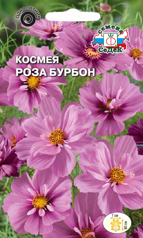 Семена цветов - Космея Роза Бурбон 0,04 г - 2 пакета