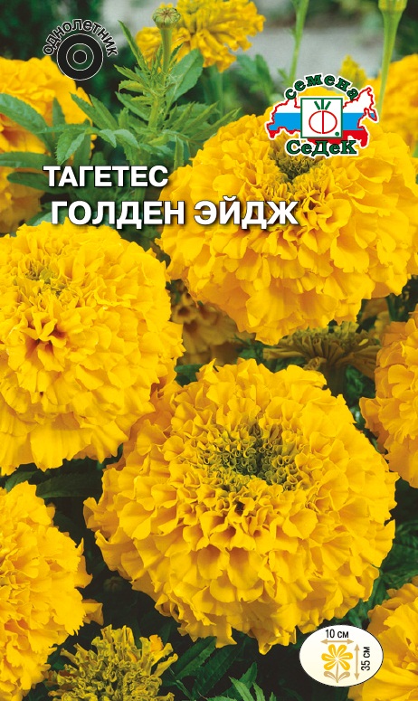 Семена цветов - Тагетес Голден Эйдж  0,2 гр.
